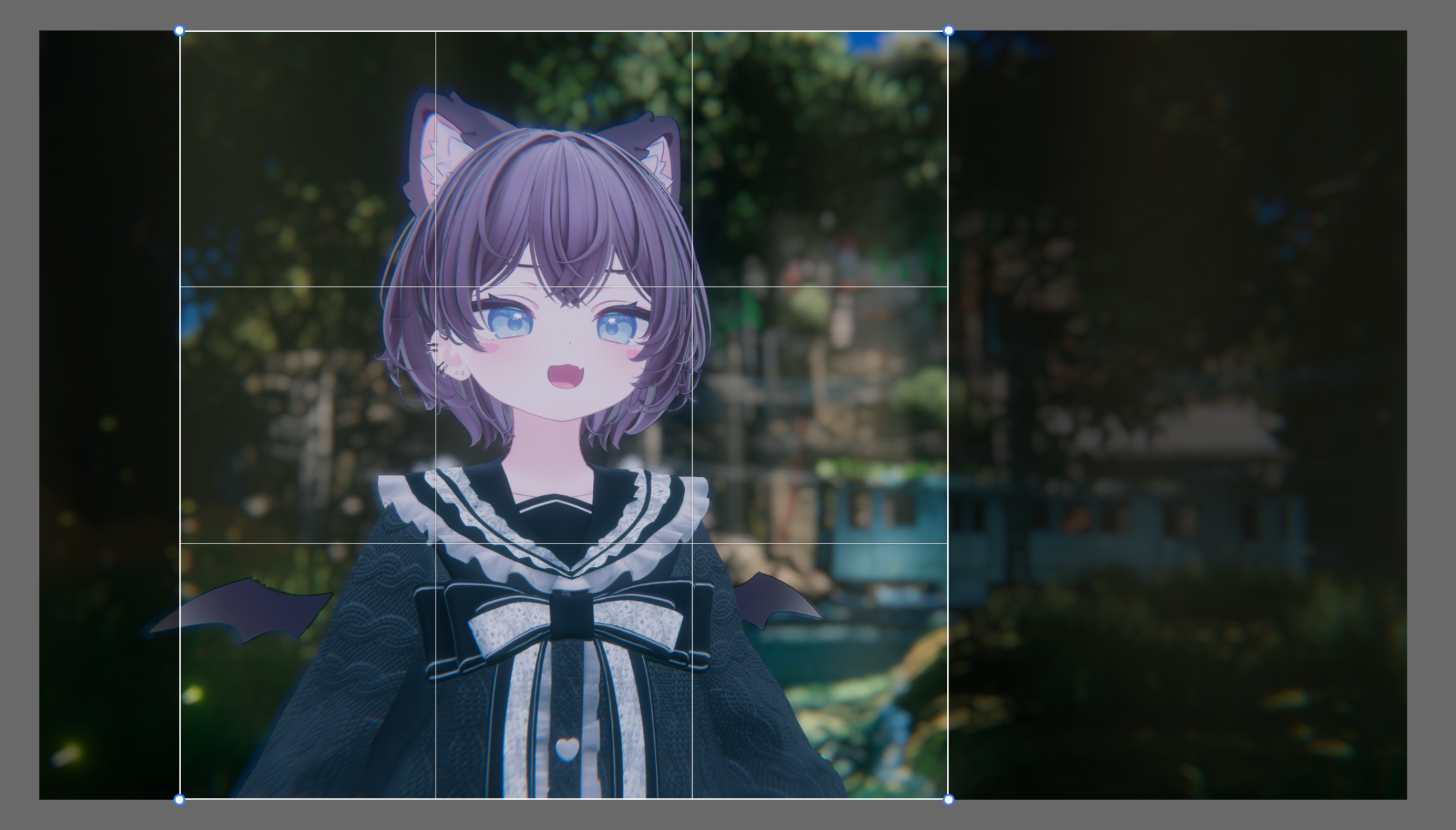 トリミング機能のイメージ